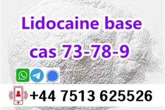 cas 137586 Lidocaine base to europe safety